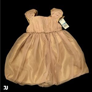 Beautiful dress with gold as the outer lay over antique rose.